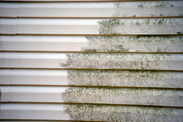 Best Mattress Disposal  in Oakville, MO